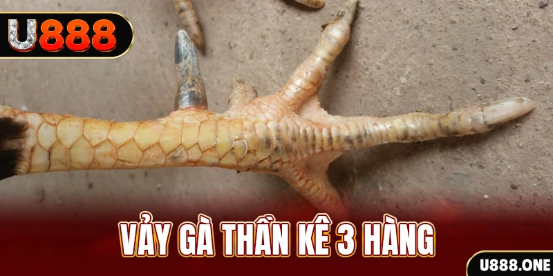 77 win nổ hũ đổi thưởng . ai
