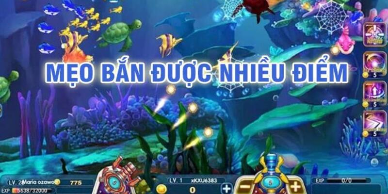 77 win đá gà