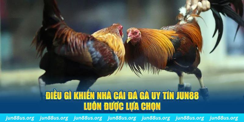 77 win bắn cá 30