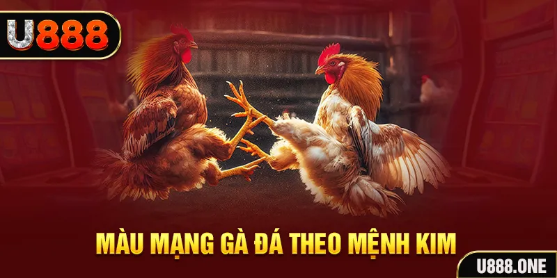 77 win gà chọi tiêu phong