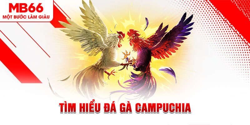 77 win tại sao không tải được nổ hũ