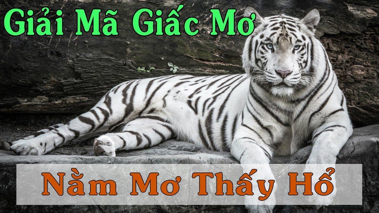 77 win xổ số miền trung