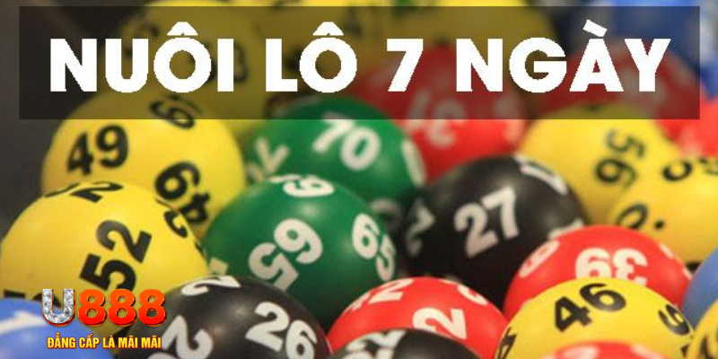 77 win xổ số đà nẵng