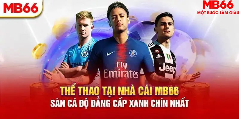 77 win HB Điện Tử