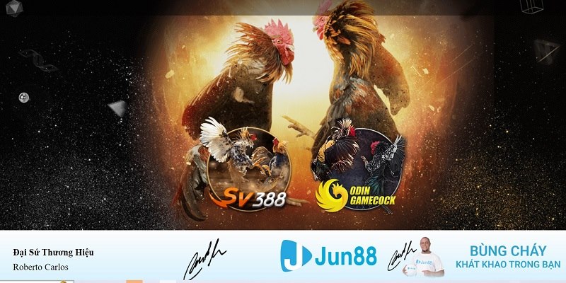 77 win xổ số miền nam hàng tuần