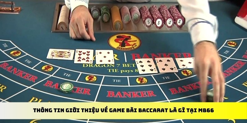 77 win xổ số trực tiếp miền bắc