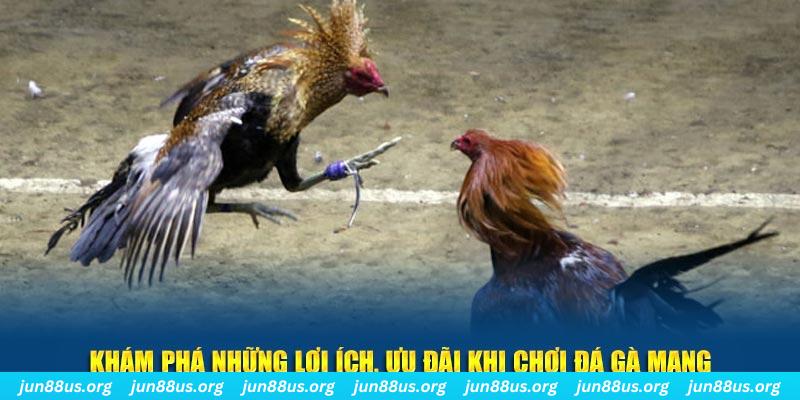 77 win Tài Xỉu 2