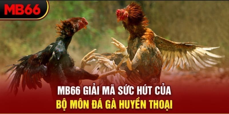 77 win long bảo trong baccarat là gì