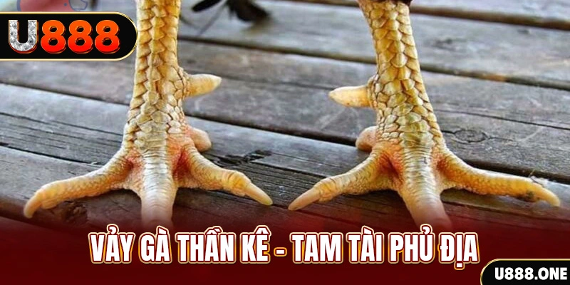 77 win xổ số 30 ngày
