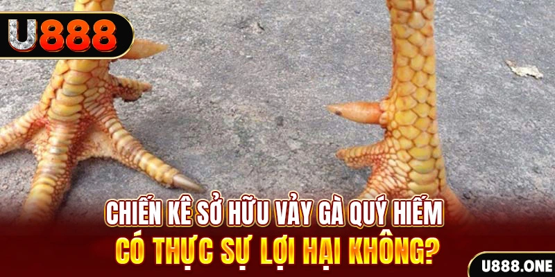 77 win game cá cược máy bay