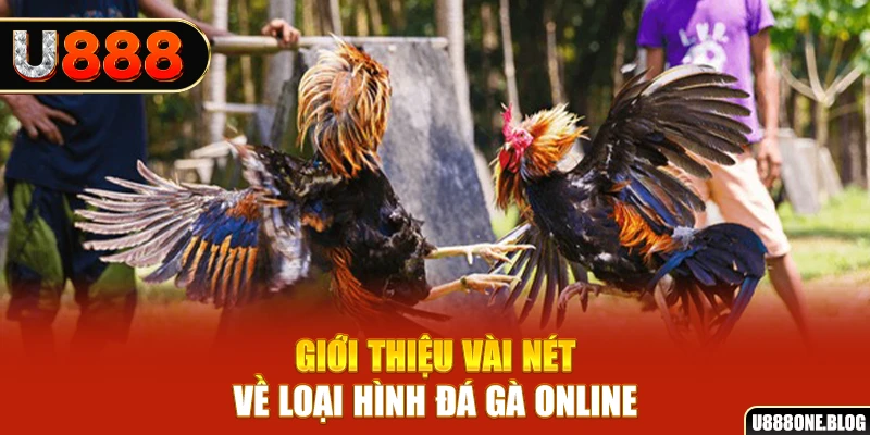 77 win xổ số miền nam thứ ba