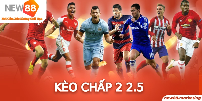 77 win trực tiếp đá gà thomo