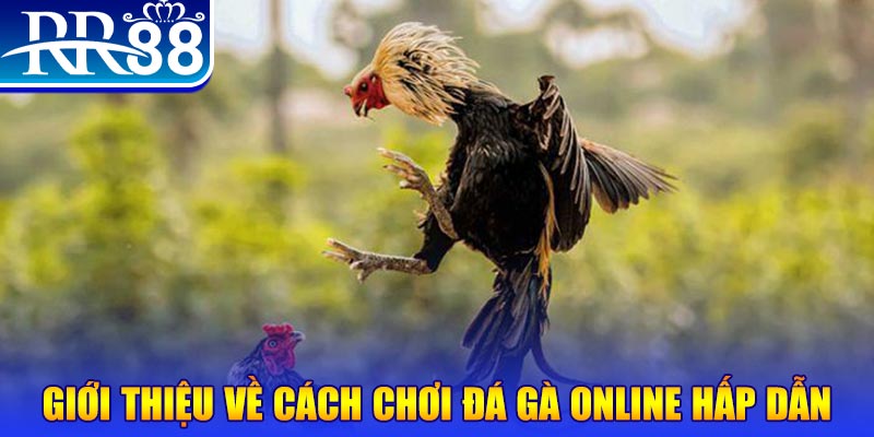 77 win nổ hũ 2 mặt là gì