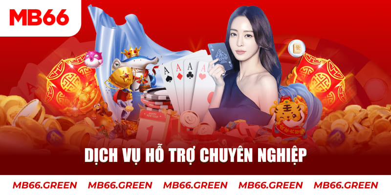 77 win gà chọi cậu thanh
