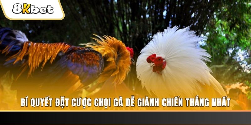77 win may club nổ hũ