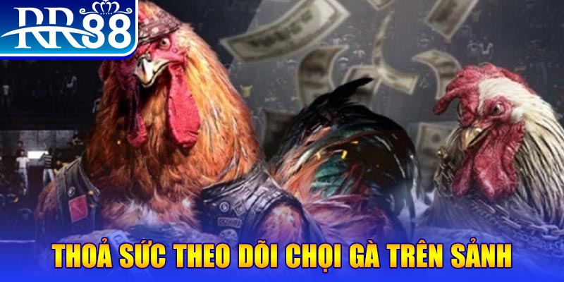 77 win NE Điện Tử
