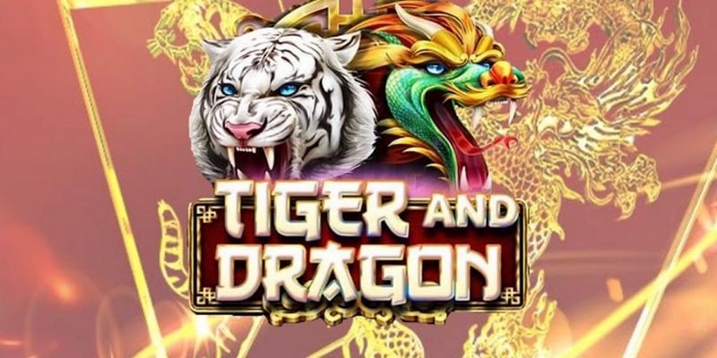 77 win cá cược tiếng anh là gì