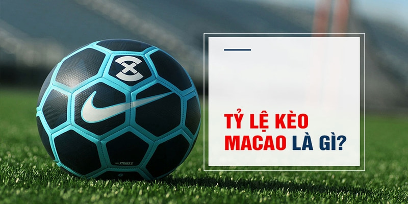 77 win Trăm Knorr