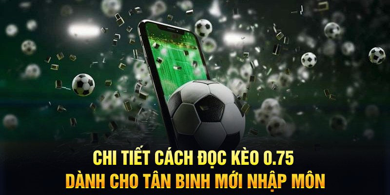 77 win sổ xô miên nam hôm nay