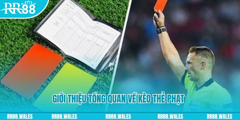 77 win đá gà trực tiếp c1