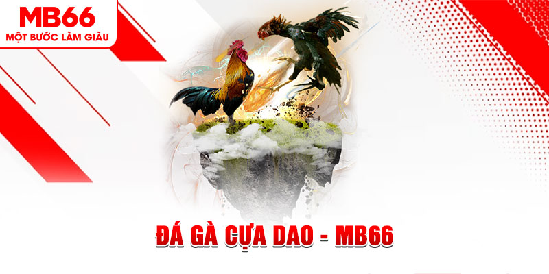 77 win xổ số miền bắc thứ năm hàng tuần